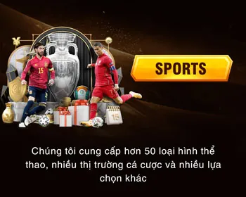 Báo cáo hiệu suất